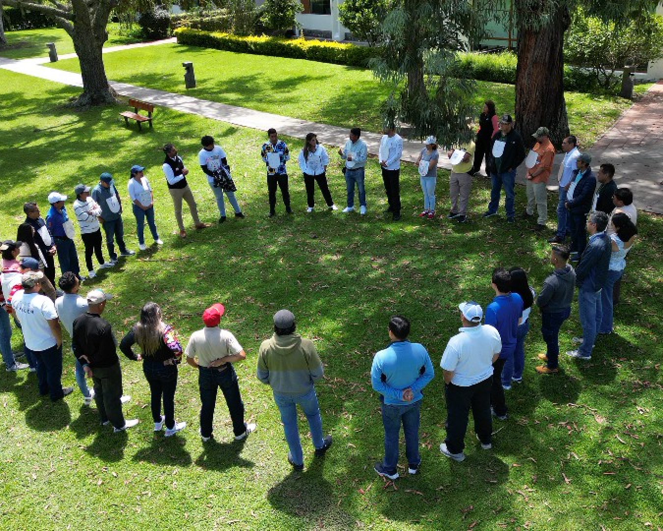 DJI_0328