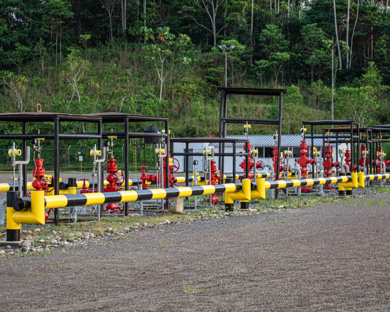 GENTE OIL - FOTOS CAMPO-82