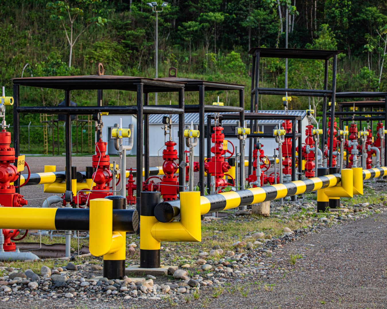 GENTE OIL - FOTOS CAMPO-83