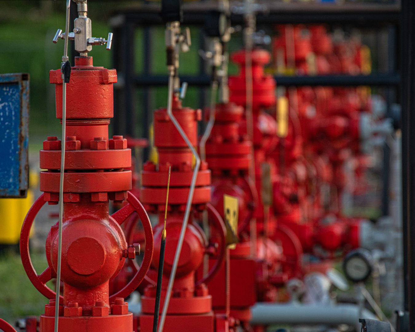 GENTE OIL - FOTOS CAMPO-85