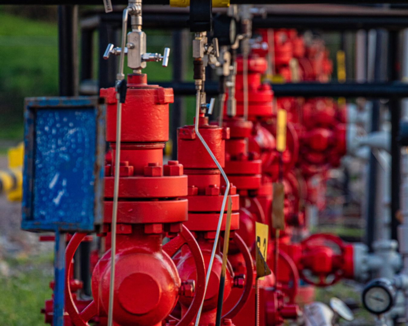 GENTE OIL - FOTOS CAMPO-86