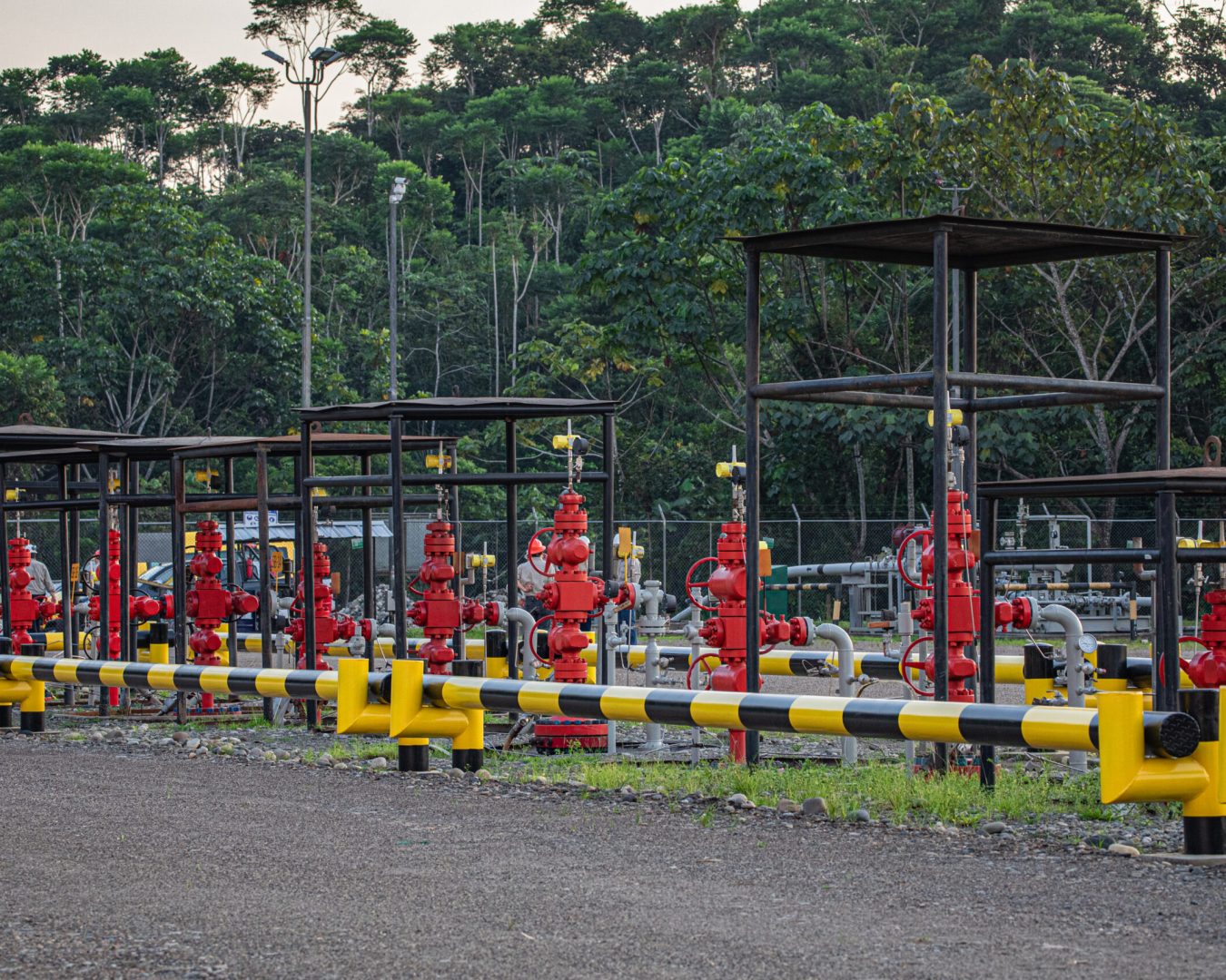 GENTE OIL - FOTOS CAMPO-89