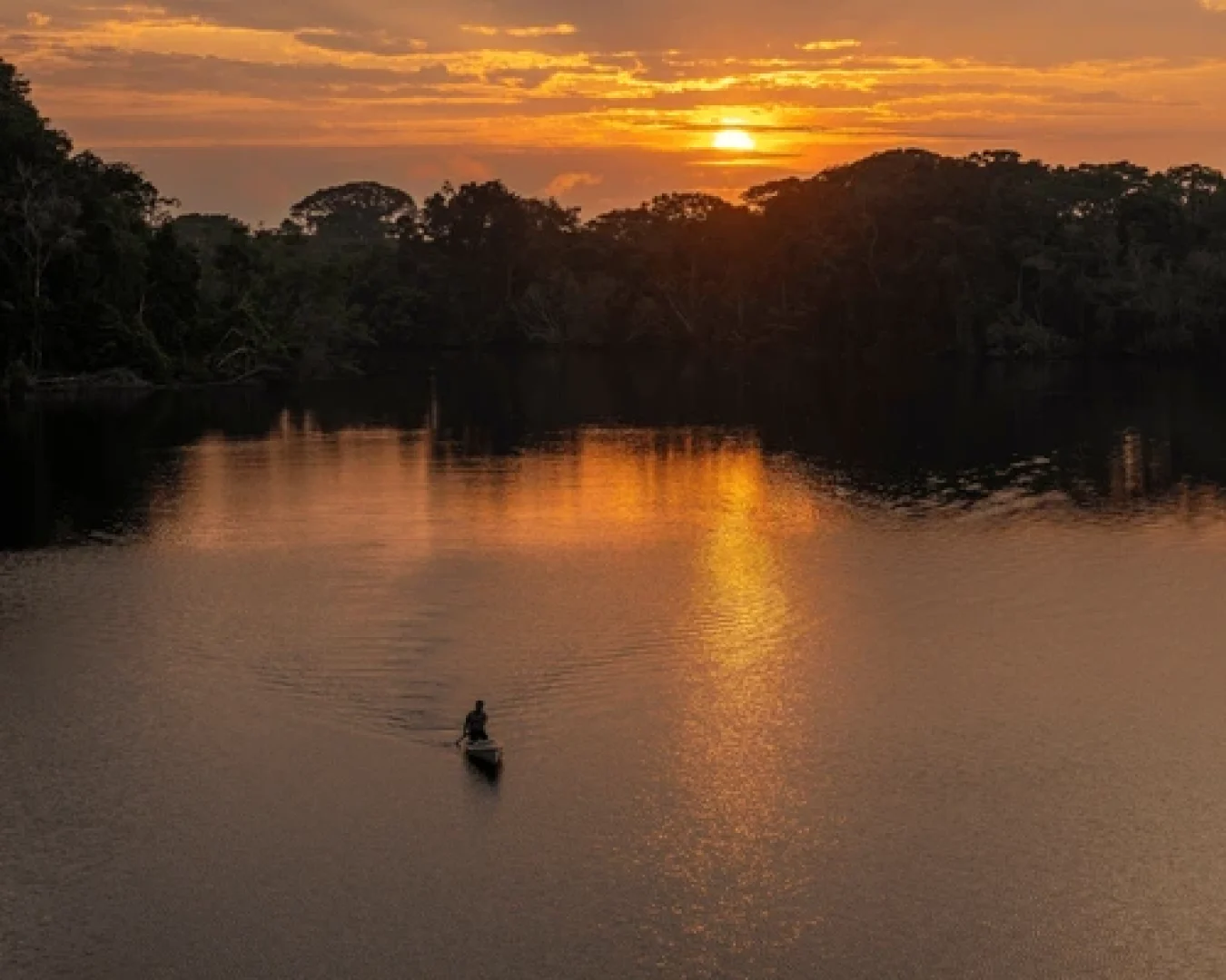 amazon-rainforest-ecuador-october-9-600nw-2467119487