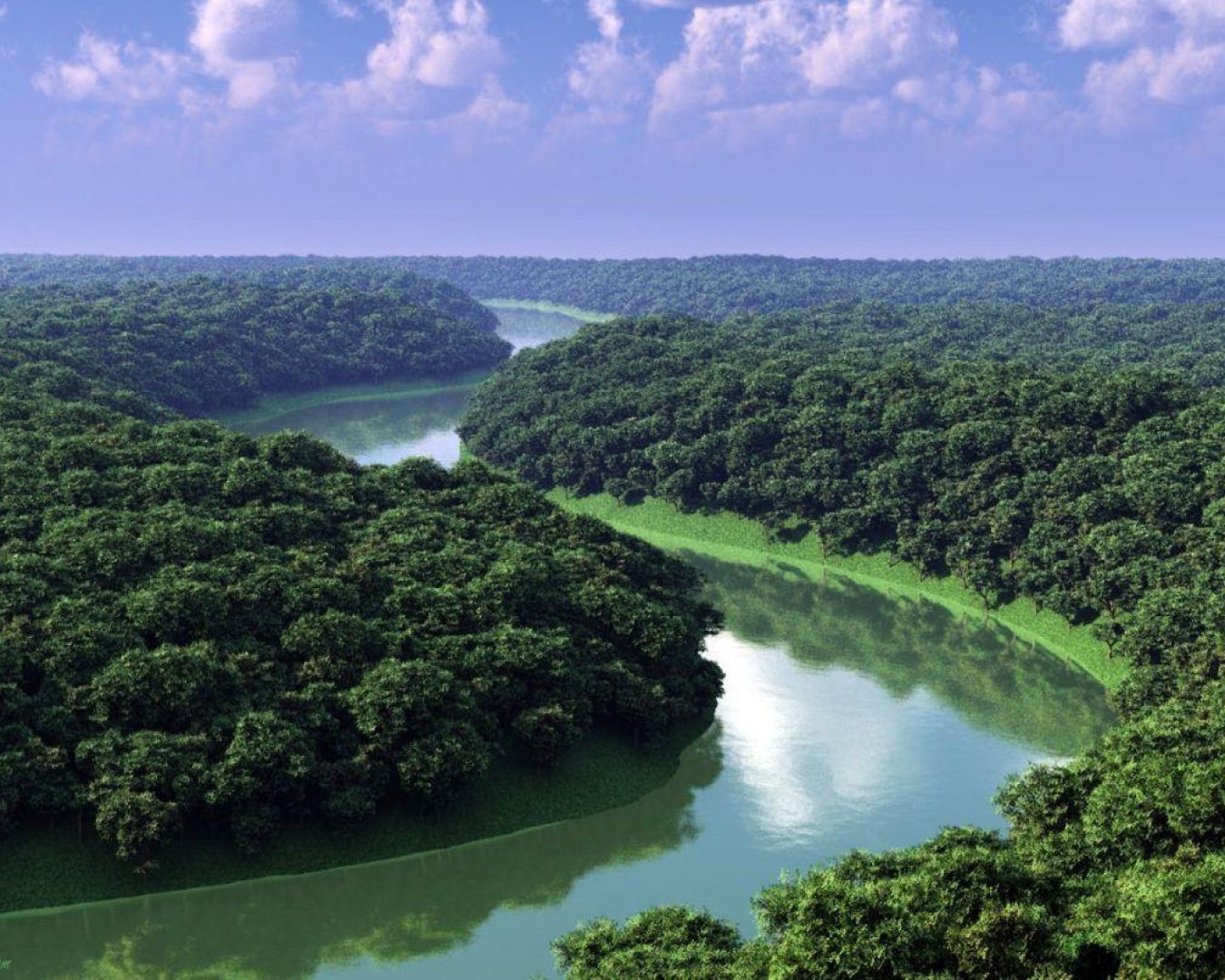 ecuador-s-amazon-rainforest