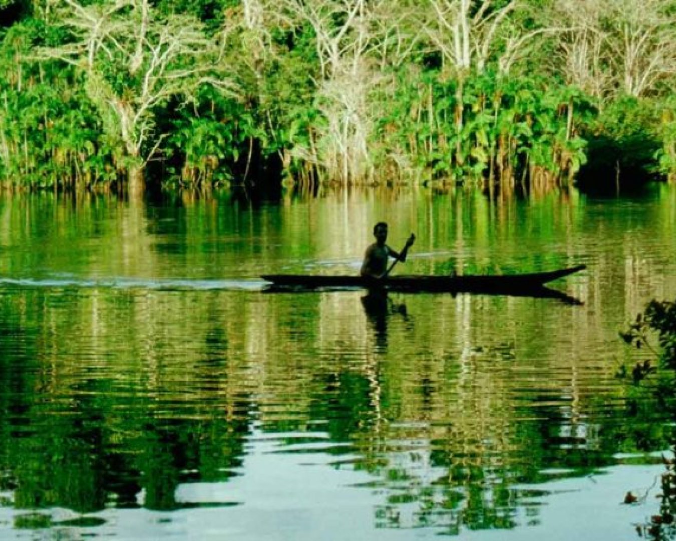 slider_amazonia_ecuador_golondrina_tours5-1024x457